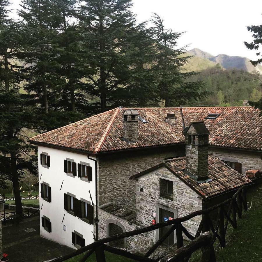巴尼奥迪罗马涅 Il Palazzo Ridracoli酒店 外观 照片