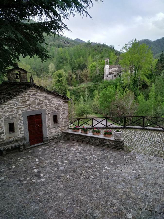 巴尼奥迪罗马涅 Il Palazzo Ridracoli酒店 外观 照片